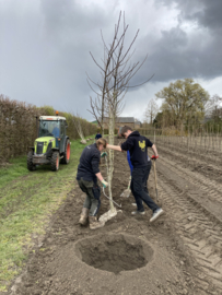 Gerealiseerde projecten