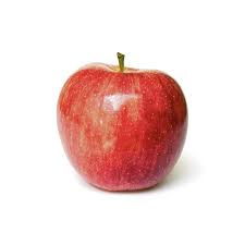 Malus d. 'Elstar' hoogstam 6-8 wortelgoed