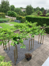 Gerealiseerde projecten