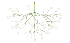 Moooi Heracleum II