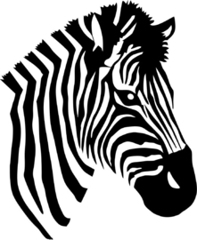 Muursticker Zebra