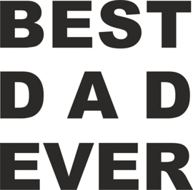 strijkapplicatie best dad ever