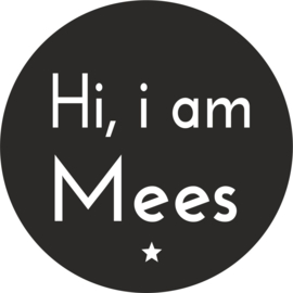 strijkapplicatie 'Hi i am' ster