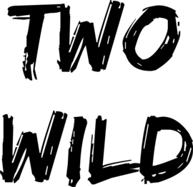 Strijkapplicatie Two Wild