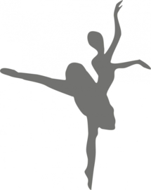 strijkapplicatie Ballerina