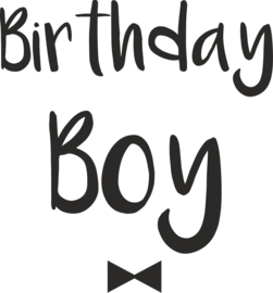 Birthday Boy tekst