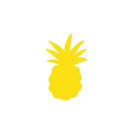 Strijkapplicatie strooi ananas (enkel)