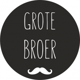 strijkapplicatie Grote Broer