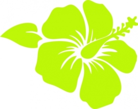 strijkapplicatie Hawaï Bloempje