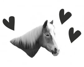 Strijkapplicatie set paard harten