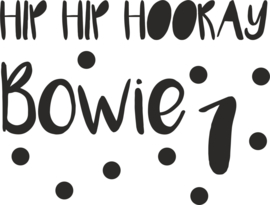 sticker verjaardag Hip Hip naam cijfer