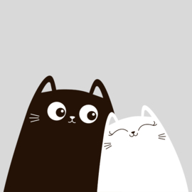 Wanneer verwacht jullie Cattery kittens?