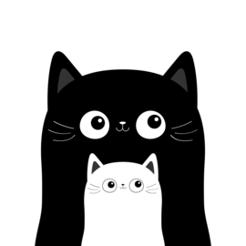 Mag een kitten langer dan 14 weken blijven bij jullie in de Cattery?