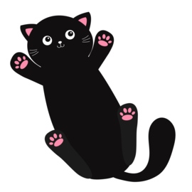 Wanneer kan ik kennis maken met een kitten?