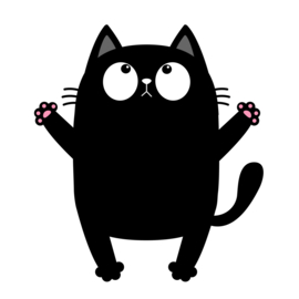 Hoe kan ik een kitten reserveren?