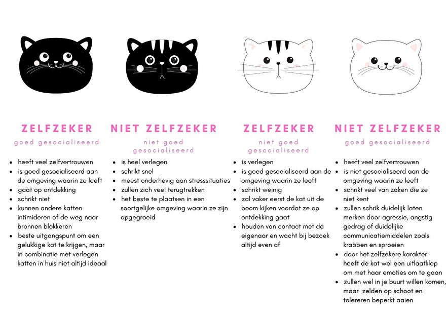 kattenkarakters