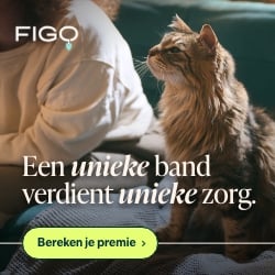 Figo kattenverzekering