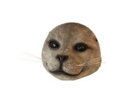 Zeehond drijver grijs