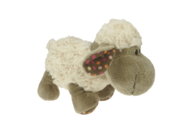 Schaap Lily