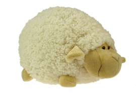 Schaap Bol groot