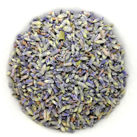 Lavendel