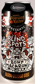 Poesiat & Kater ~ Blind Spots 44cl can