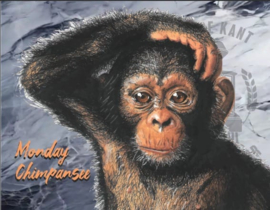 Goede Kant van het Spoor ~ Monday Chimpansee 33cl Pre-Order