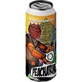 Lost ~ Superdelic 50cl can