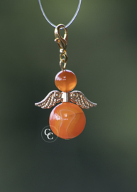 Agaat , Orange  Goldwing