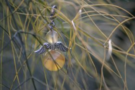 Citrien Silverwing