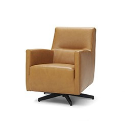 DRAAIFAUTEUIL JARNO