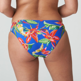 PDS Latakia bikini slip Tropical Rainforest