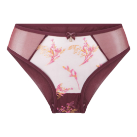 LingaDore - Slip - Port