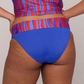 PDS Skudai Omslag bikinislip Wild stripes