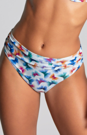 Panache Swim Olivia Mid waist bikini slip Flutterprint