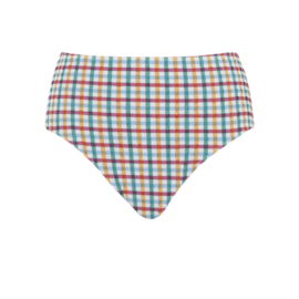 Panache Swim high waist Bikini slip Seersucker