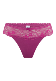 LD Daily string Raspberry