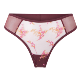 LingaDore - String - Port