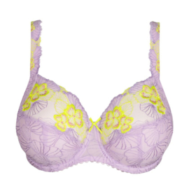 PD Ixia beugelbh - Wisteria