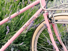 BLB Butterfly - 8 SPD - Town bike - Dusty pink