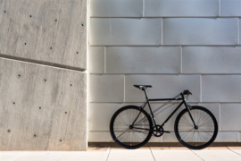 Wulf singlespeed State bicycle