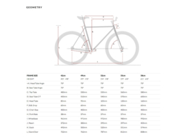 6ku Singlespeed / fixed gear Shelby 2