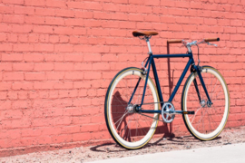Rigby singlespeed State bicycle
