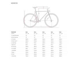 6ku Singlespeed / fixed gear fiets Nebula 2