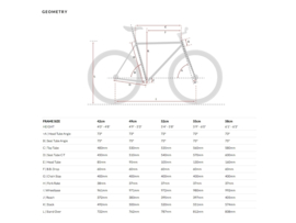 6ku Singlespeed / fixed gear Shelby 4