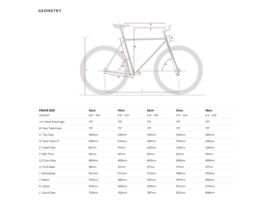 6ku Singlespeed / fixed gear Evian 2