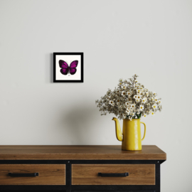 Framed Unsad Magenta Butterfly