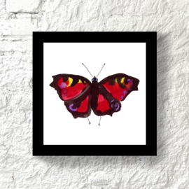 Onzielige Pauwoog Vlinder, 20 x 20 cm