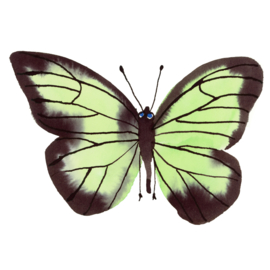 Framed Green Butterfly, 20 x 20 cm
