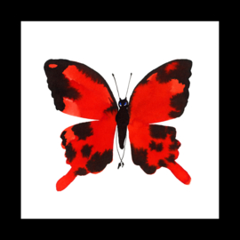 Framed Red Butterfly, 20 x 20 cm
